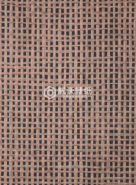 ARTE 进口ICONS天然编织墙纸壁纸85530 85531 85532 85533 85534