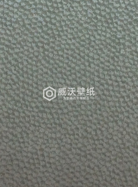 法国CASADECO墙纸壁纸BFCO82287137 82287311 82284134 82281106