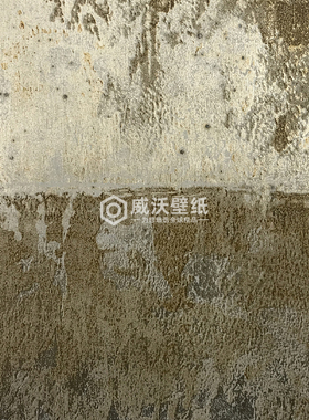 ARTE进口ICONS金属轻奢风墙纸壁纸85500 85501 85502 85503 85504