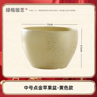 蝴蝶兰花金枝玉叶多肉陶瓷器大小花盆专用轻奢高级感蓝色精致高端