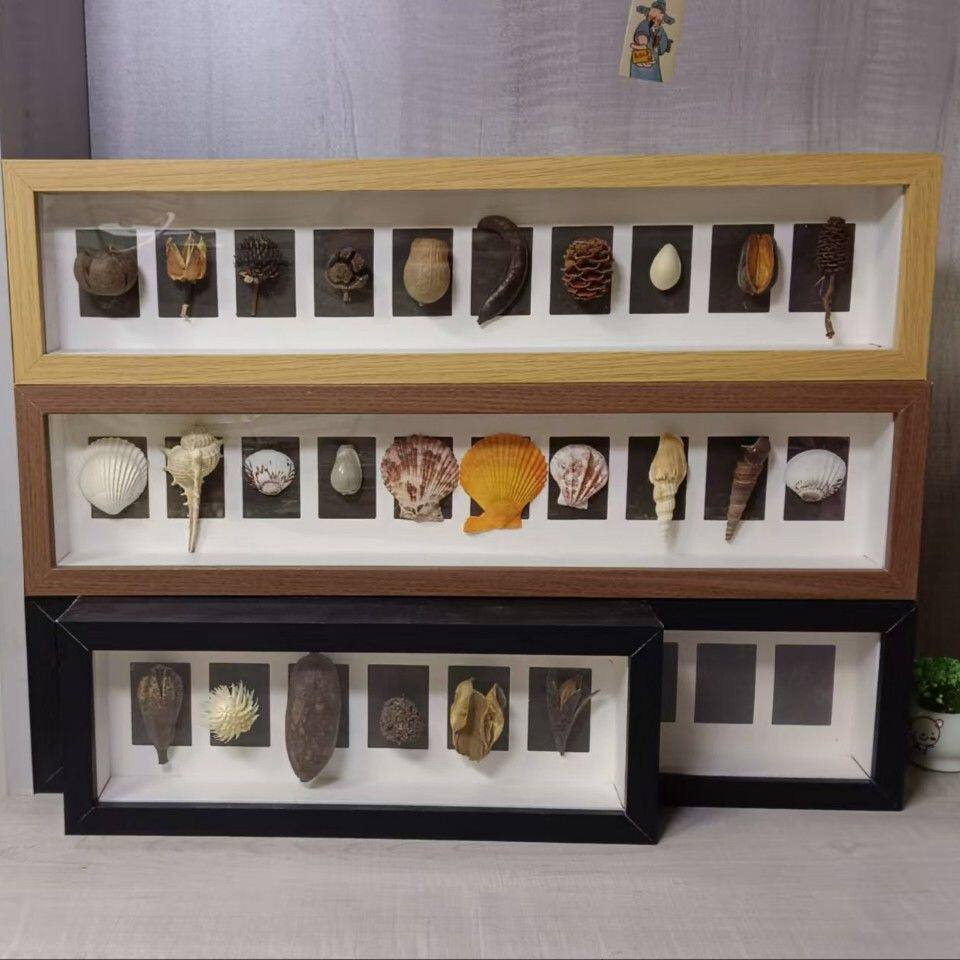 贝壳工艺品相框中空3 5cm立体宫格相框手工diy创意装裱植物干花果