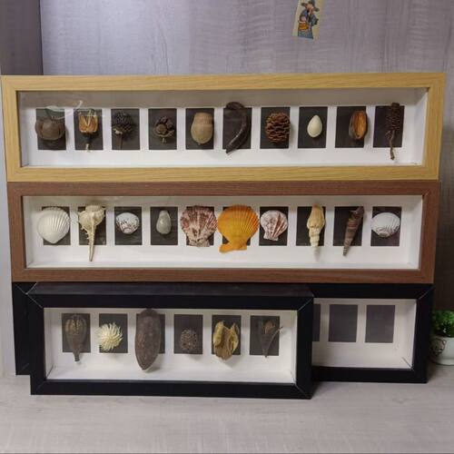 贝壳工艺品相框中空3 5cm立体宫格相框手工diy创意装裱植物干花果