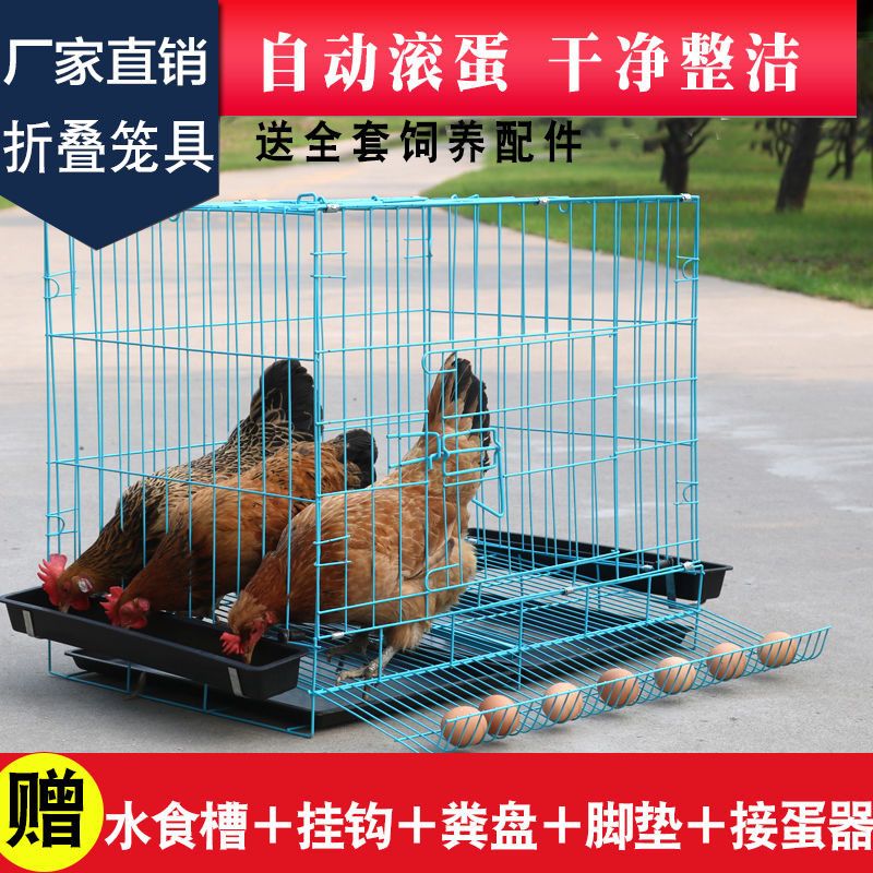 鹌鹑养殖下蛋专用笼鸡笼子养殖笼家用鹌鹑笼子小型折叠蛋鸡笼子自