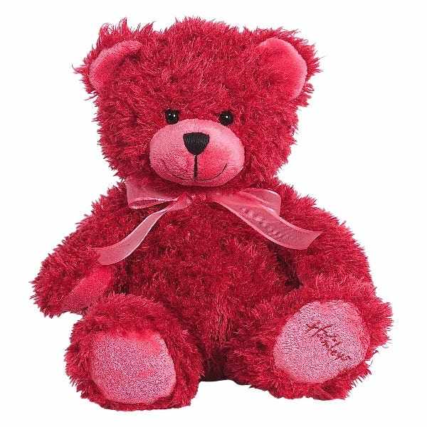 哈姆雷斯/hamleys原创树莓蓝莓熊宝可爱英伦风情侣泰迪熊毛绒玩偶