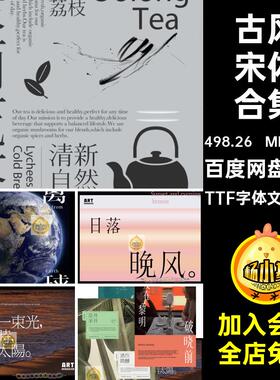 24套商用宋体合集文艺气质中文中式文字字体TTF字体文件素材高级