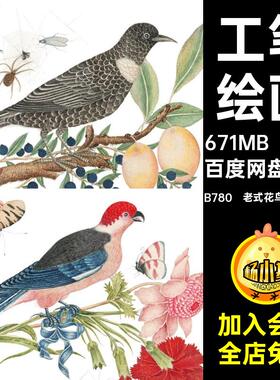 植物绘画B780 老式花鸟插画PNG透明工笔装饰扣图案扣工笔复古高清