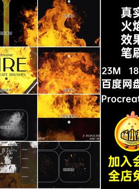 真实感火焰效果笔刷火星画笔ipad艺术火苗Procreate烟雾18个画笔