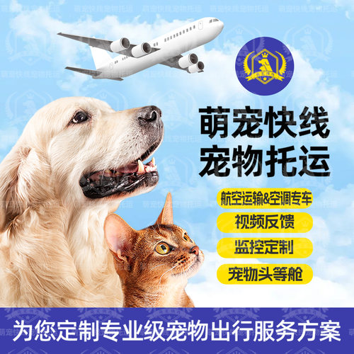 宠物托运服务保姆车宠物专车空运