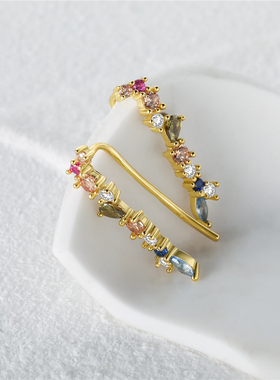 2023 Trend Gift 100% Sterling Silver Stud Earring For Women