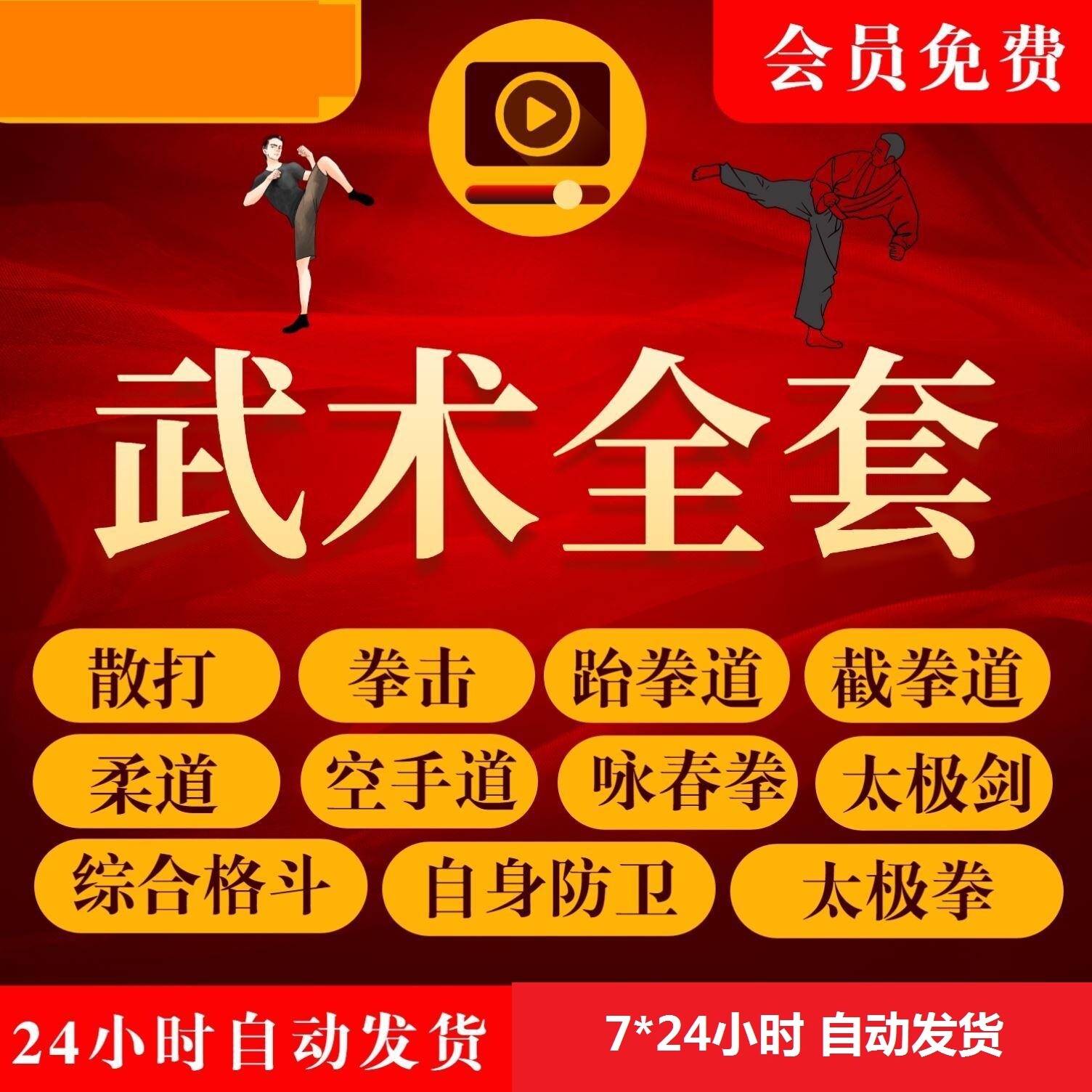 武术视频教程零基础散打咏春太极剑跆泰空手截拳道防身格斗术教学