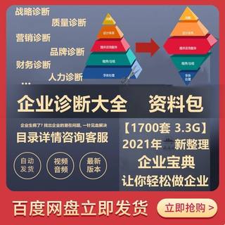 新企业经营战略研究诊断报告案例资料文化营销人力资源管理咨询