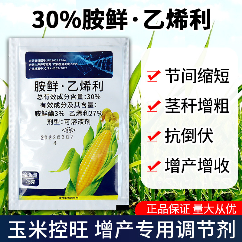 农药30%胺鲜乙烯利玉米田专用生长调节剂控旺剂节间缩短增产增收
