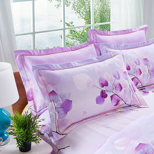 纯棉枕套一对装100全棉枕头套加厚大号家用48x74学生宿舍40x60cm