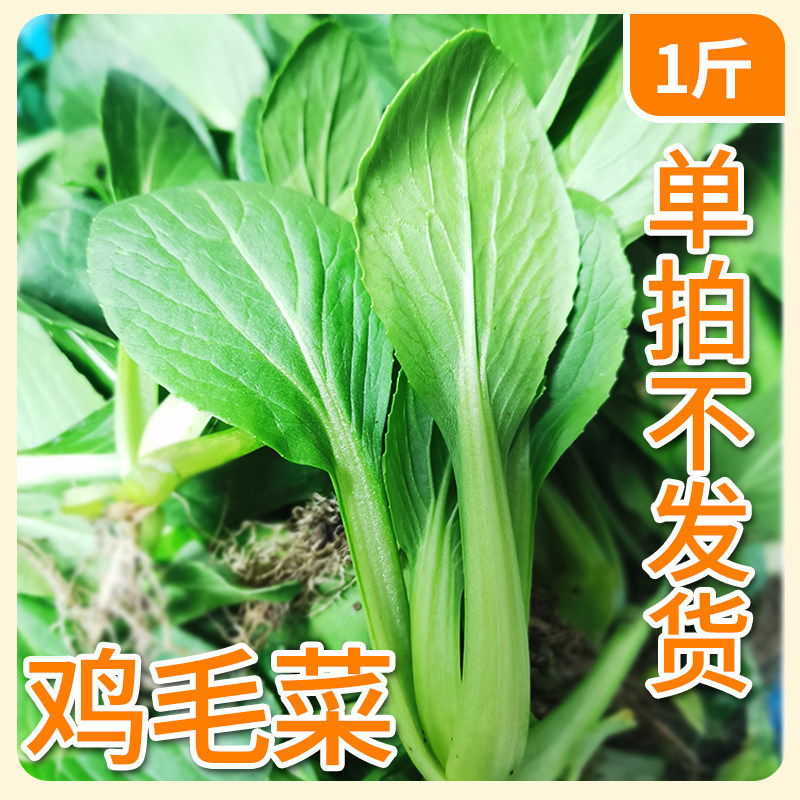 崇明鸡毛菜青菜苗菜秧 江浙沪皖全店满35包邮到家,水产肉类/新鲜蔬果/熟食,叶菜类,淘宝优惠券,粉丝福利购,淘宝优惠卷