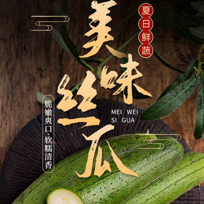 上海崇明岛本地丝瓜新鲜蔬菜现摘发货顺丰包邮到家