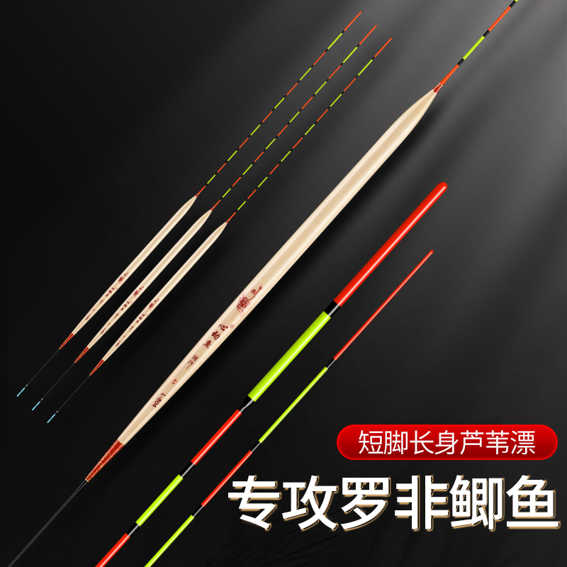 心动鱼芦苇硬尾底钓高灵敏