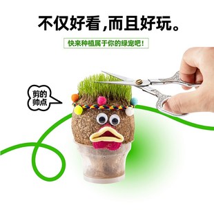 快速发货草头娃娃小盆栽大号草籽创意桌I面可爱植物趣味长草办公