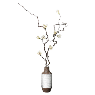 干支花装饰摆件客厅落地树枝插花干花花束家居摆设干枝真花艺龙枣