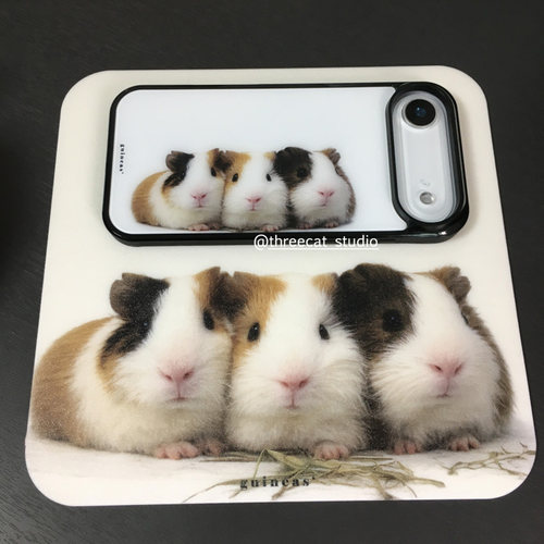 三只豚鼠荷兰猪airpods耳机套
