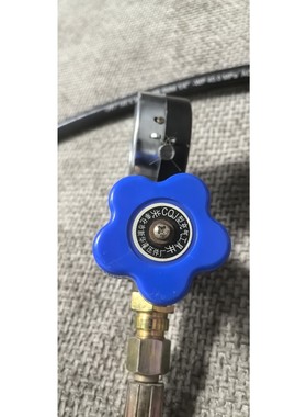 CQJ型压力表减压阀,蓝色手柄,带软管,压力范围0-25MP