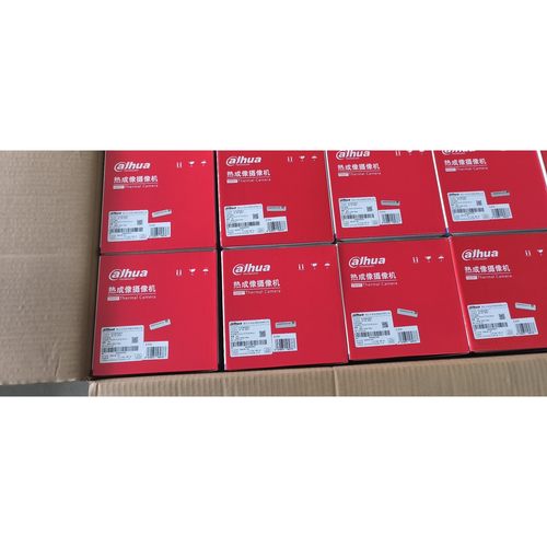 出10台大华DH-TPC-BF2221-B3F4,,中文大华