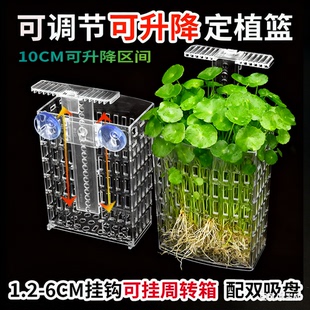 鱼缸水草水培固定定植篮篮乌龟缸可升降可调节造景装饰周转箱挂篮