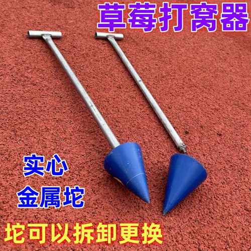 草莓打孔打窝工具种草莓神器打窝器打洞器种