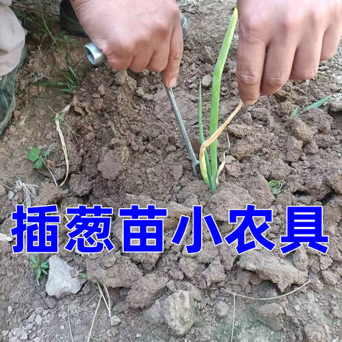 栽葱神器栽葱专用农具大葱插苗器插葱苗神器葱叉子