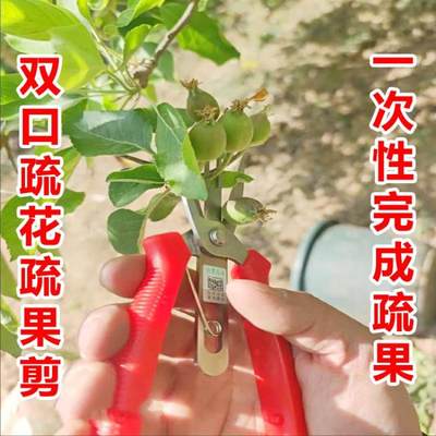 苹果梨树果树疏花疏果专用双口疏果剪稀花稀果剪刀梨树疏花神器