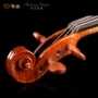 Sản phẩm mới Caos violin học sinh nhập môn nhạc cụ mới bắt đầu thực hành violin bằng gỗ - Nhạc cụ phương Tây đàn harmonica