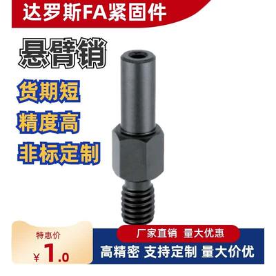 外螺纹悬臂销 FXBC PFXBC SFXBC3 4 5 6 8 10 12 15-Y-F-MA