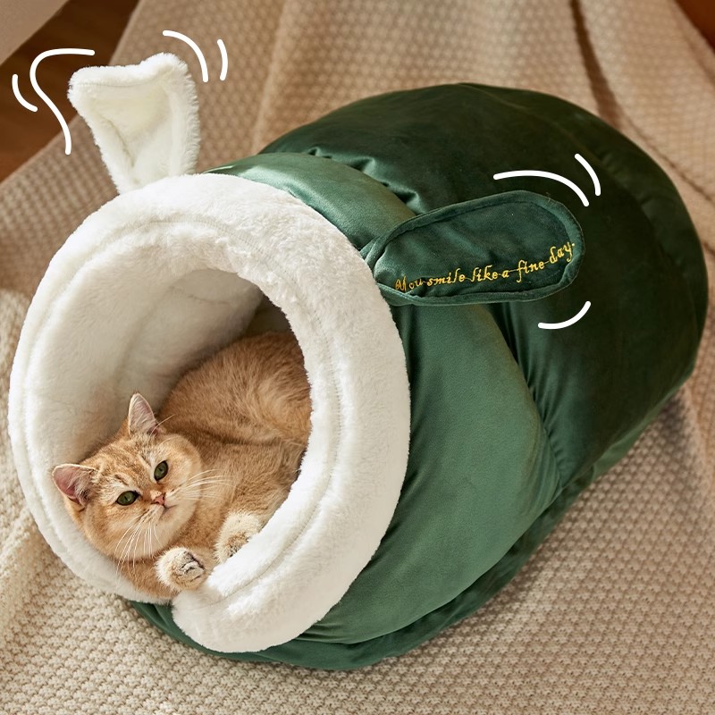 可爱拖鞋窝猫咪睡不停