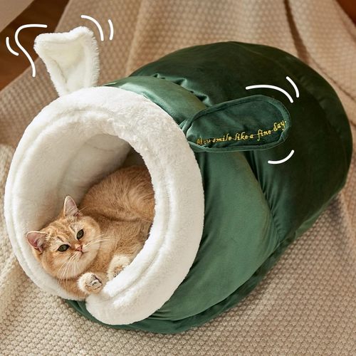 可爱拖鞋窝猫咪睡不停