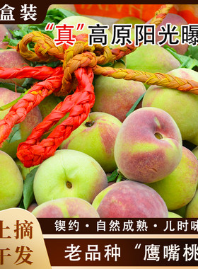 亲自采摘鹰嘴蜜桃精选5斤大果