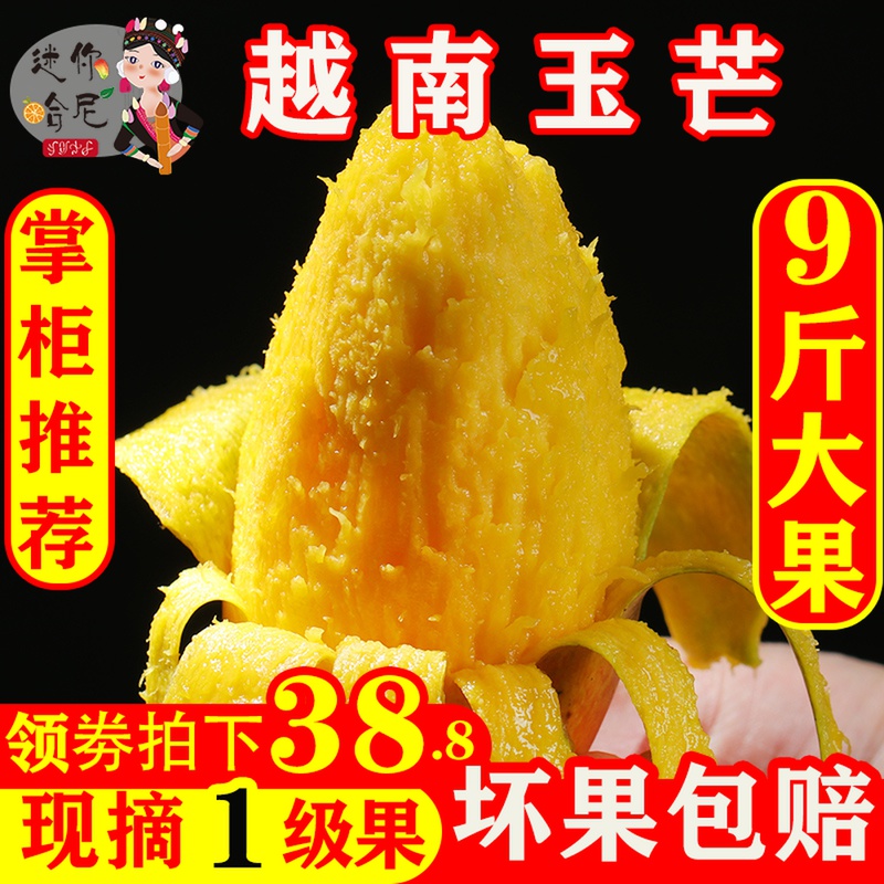 越南玉芒新鲜水果当季热带水果青皮芒果绿皮甜心芒果批发净果9斤
