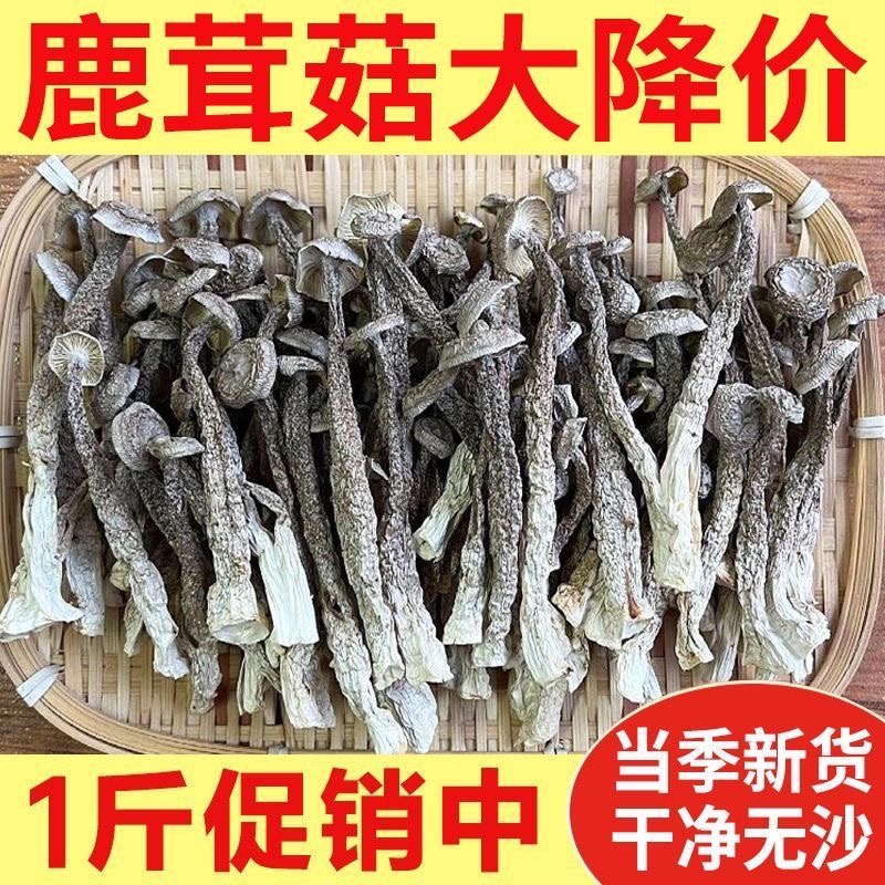 鹿茸菇干货500g包邮鹿茸菌正品鹿茸菇煲汤食材食用菌菇野蘑菇香菇