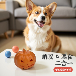 万圣节南瓜宠物玩具耐磨耐咬萌宠逗趣玩具互动玩具