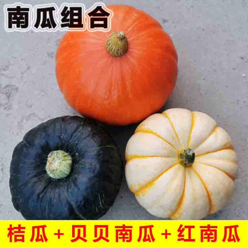 贝贝南瓜红黄色皮老南瓜黄金贝贝小桔瓜组合小金瓜酒店雕刻万圣节