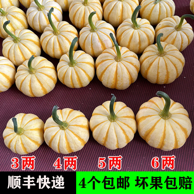 农夫地带精品桔瓜顺丰包邮
