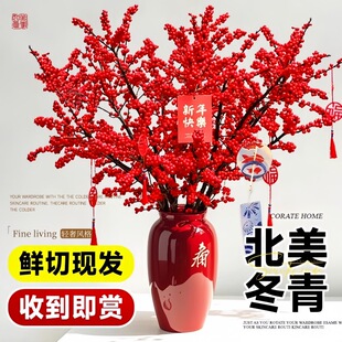 北美冬青红果鲜花切枝鲜切花水培水养绿植室内年宵花卉真花好养活
