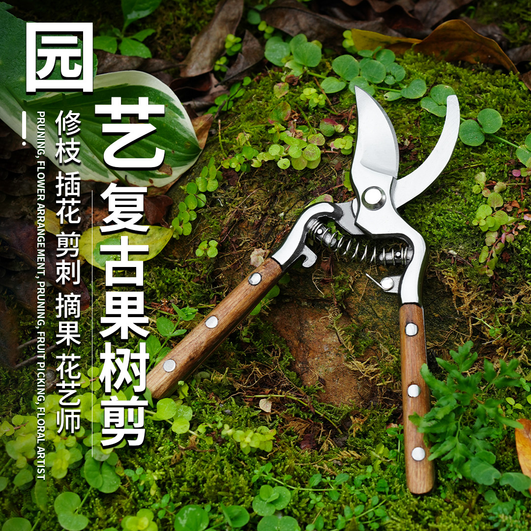 园林果树剪复古花园剪