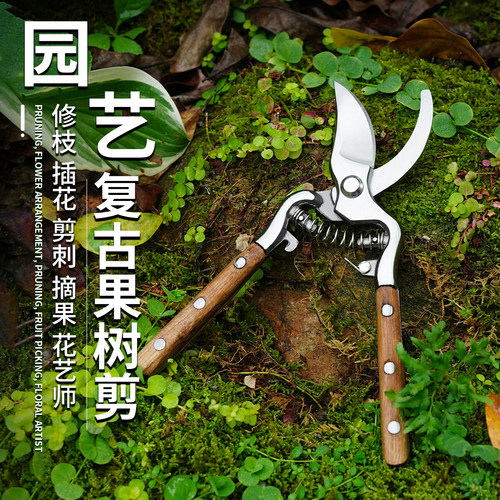 园林果树剪复古花园剪