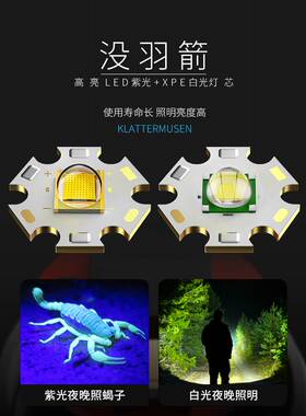 新款蝎子灯超强手电筒395nm紫光灯强光验钞可充电照明鉴定专用灯