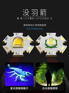 新款蝎子灯超强手电筒395nm紫光灯强光验钞可充电照明鉴定专用灯