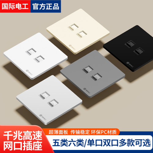 国际电工六类千兆双口网络插座
