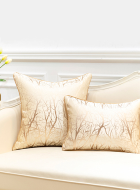 抱枕轻奢高级感客厅沙发酒店床头奢华靠背垫高端枕头靠枕套不含芯