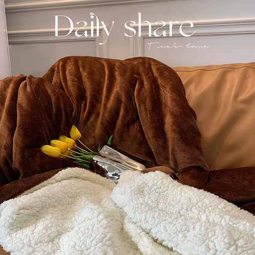 现代简约秋冬季加厚法兰绒毯子