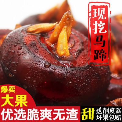 马蹄荸荠悠果友新鲜现挖湖北