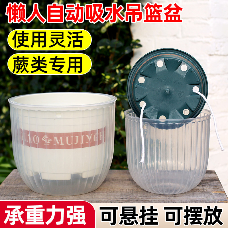 霸王蕨懒人自吸水悬挂式透明花盆塑料壁挂垂吊兰吊篮专用水培器皿