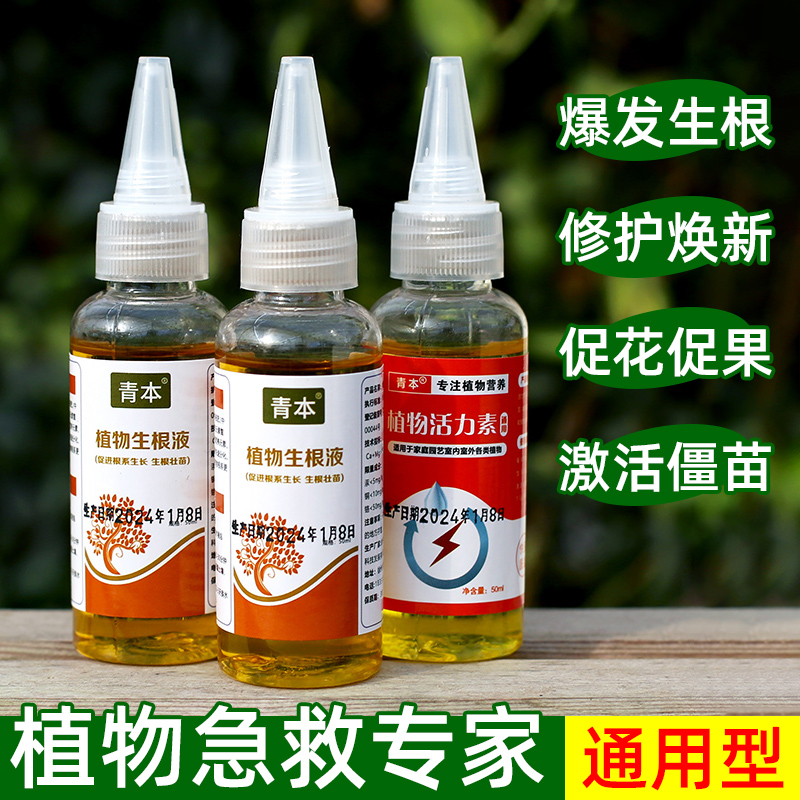 【浓缩通用型】高效快速生根液
